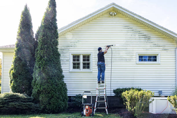 Professional Pressure Washing in Arnold, MO