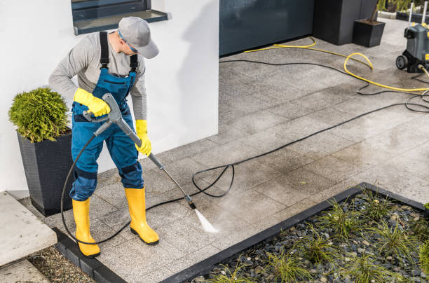 Best Roof Pressure Washing  in Arnold, MO